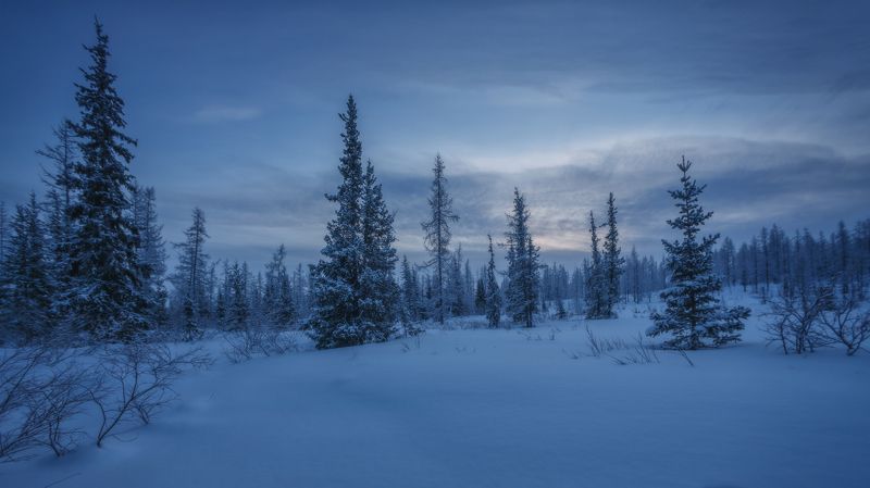 Закат на Ямале фото превью