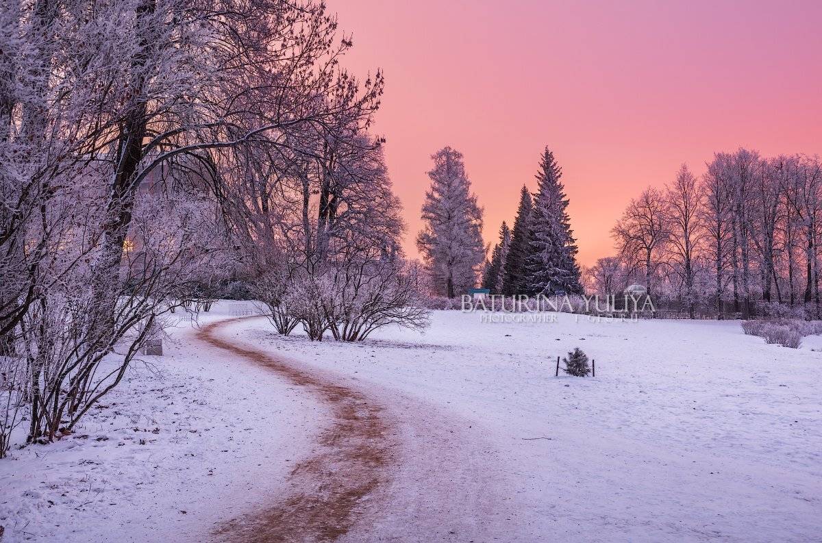царское село, санкт-петербург, Юлия Батурина