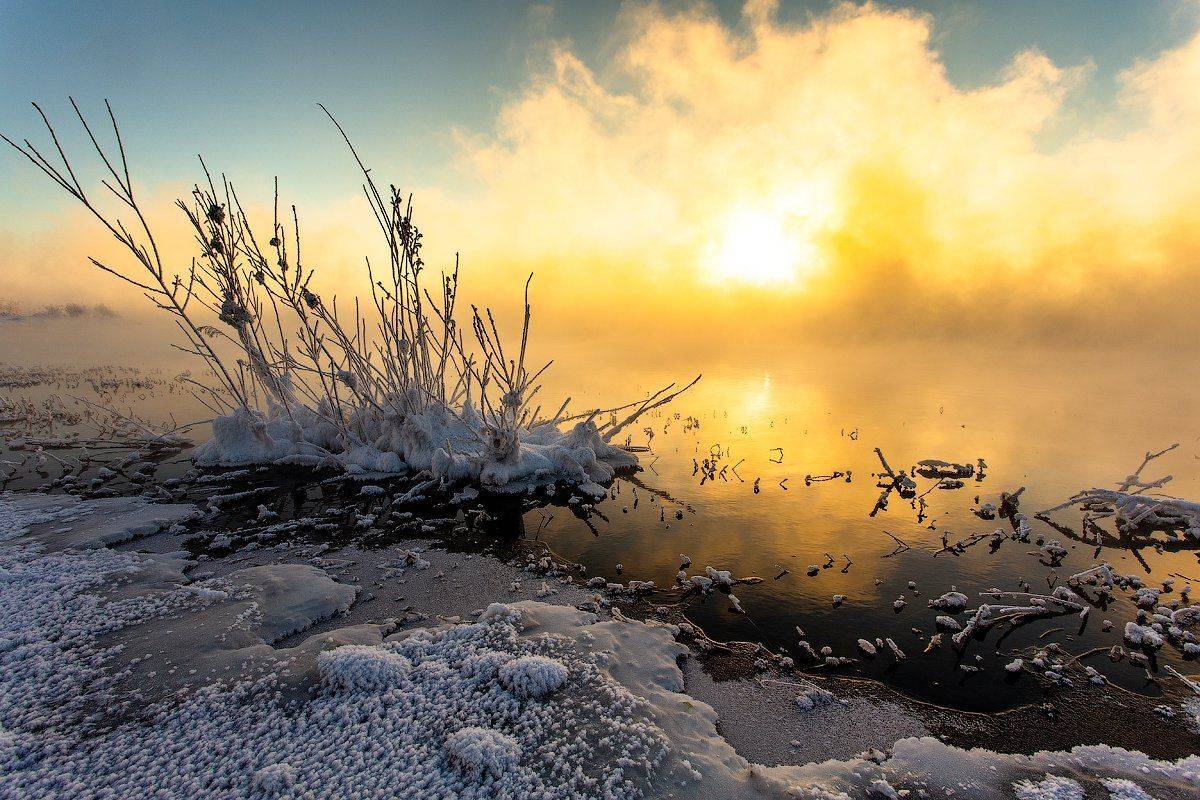 , Комеров Роман