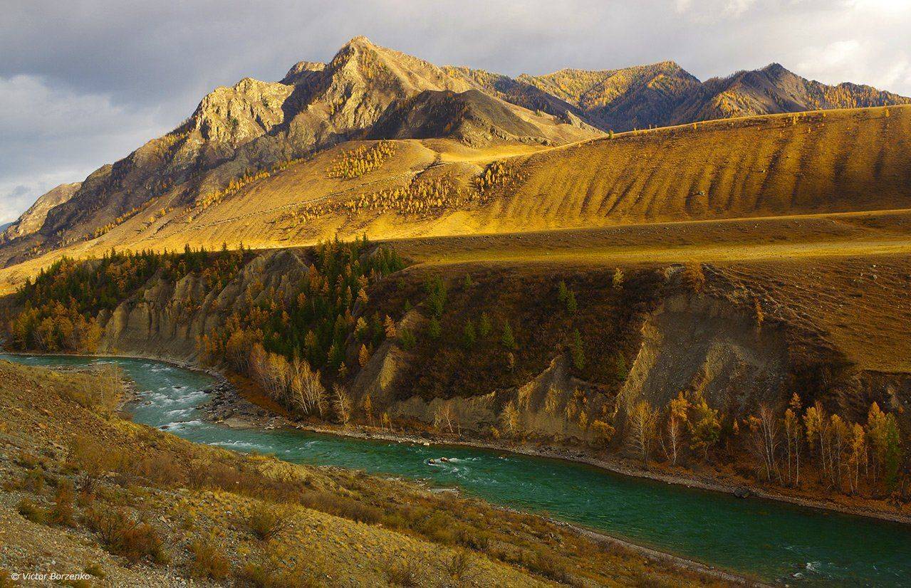 алтай, чуя, река, горы, осень, вечер, Виктор Борзенко