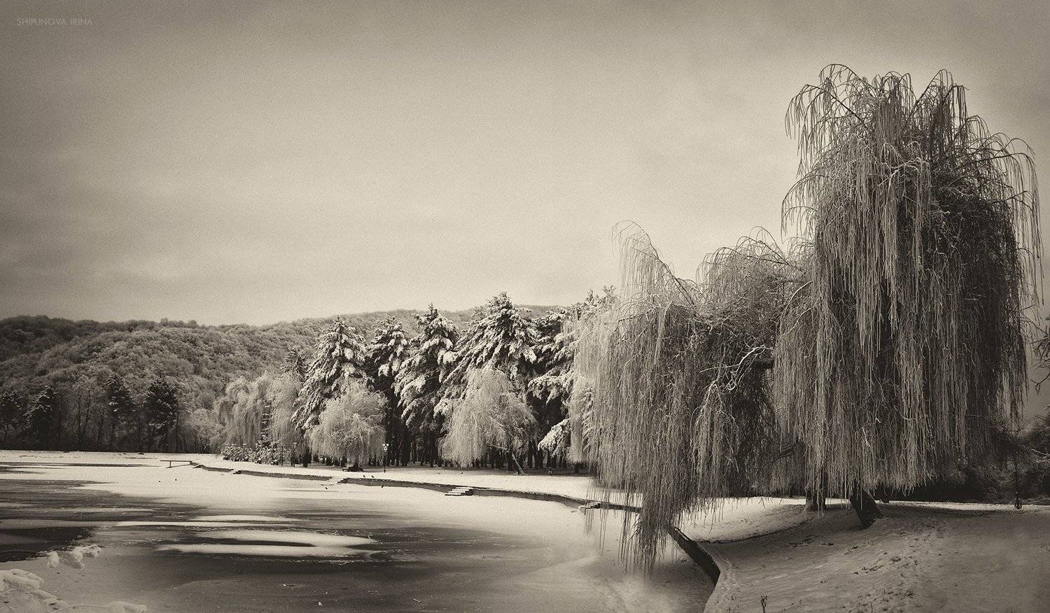 , Шипунова Ирина