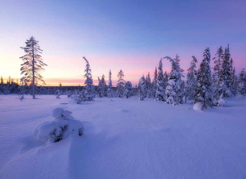 lapland, finland, winter, sunset Magical Winter in Lapland фото превью