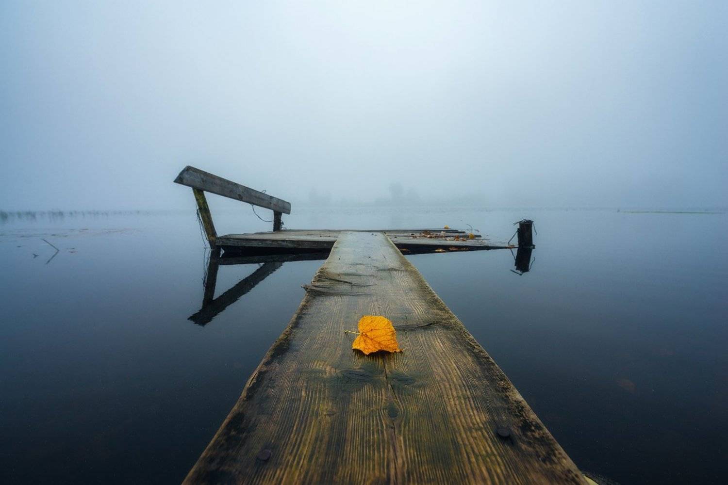 , Устюжанин Михаил