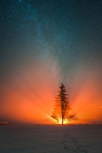 Light power