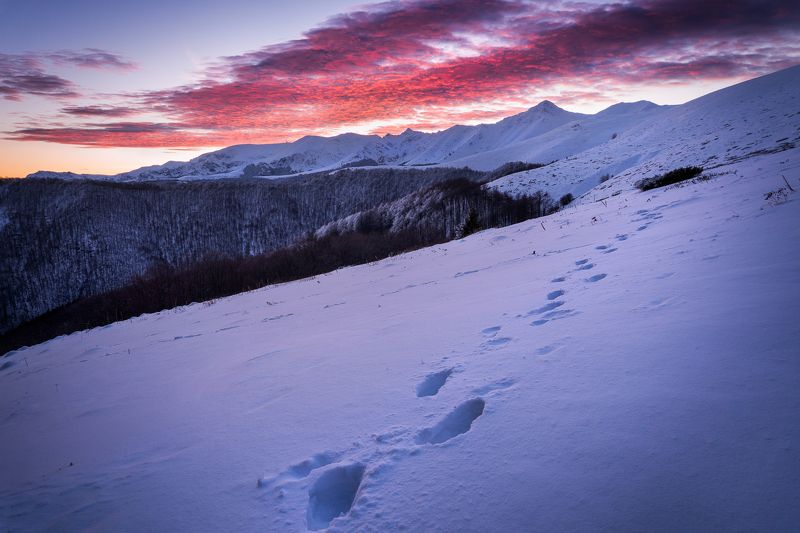 bulgaria, ambaritsa, central balkan, sunrise, botev peak, hut, adventure, travel On the tracks of the sunrise фото превью