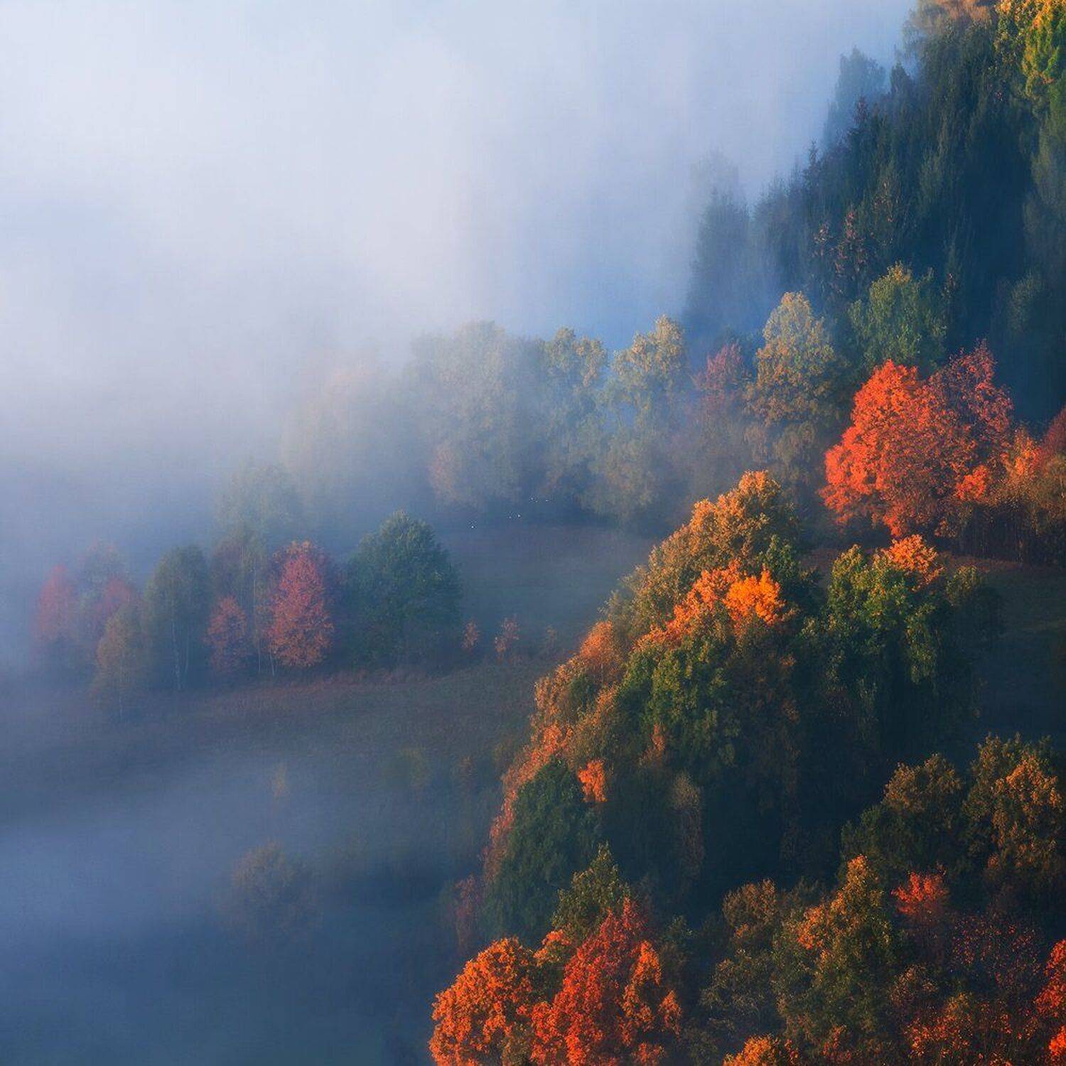 landscape,canon,mist,light,autumn, Iza i Darek Mitręga