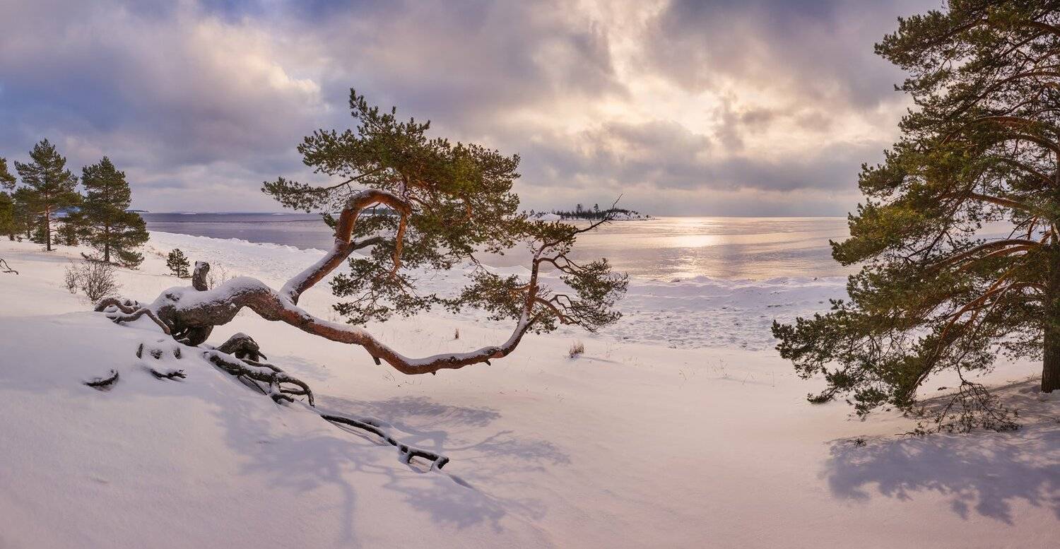 зимняя ладога, ладожское озеро, карелия, шхеры, лед, сосна, койонсаари, пляж, Арсений Кашкаров