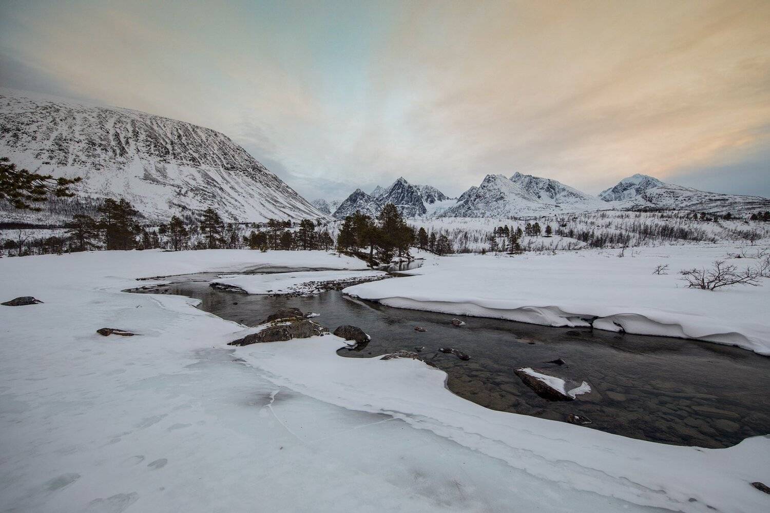 , Тодор Божков