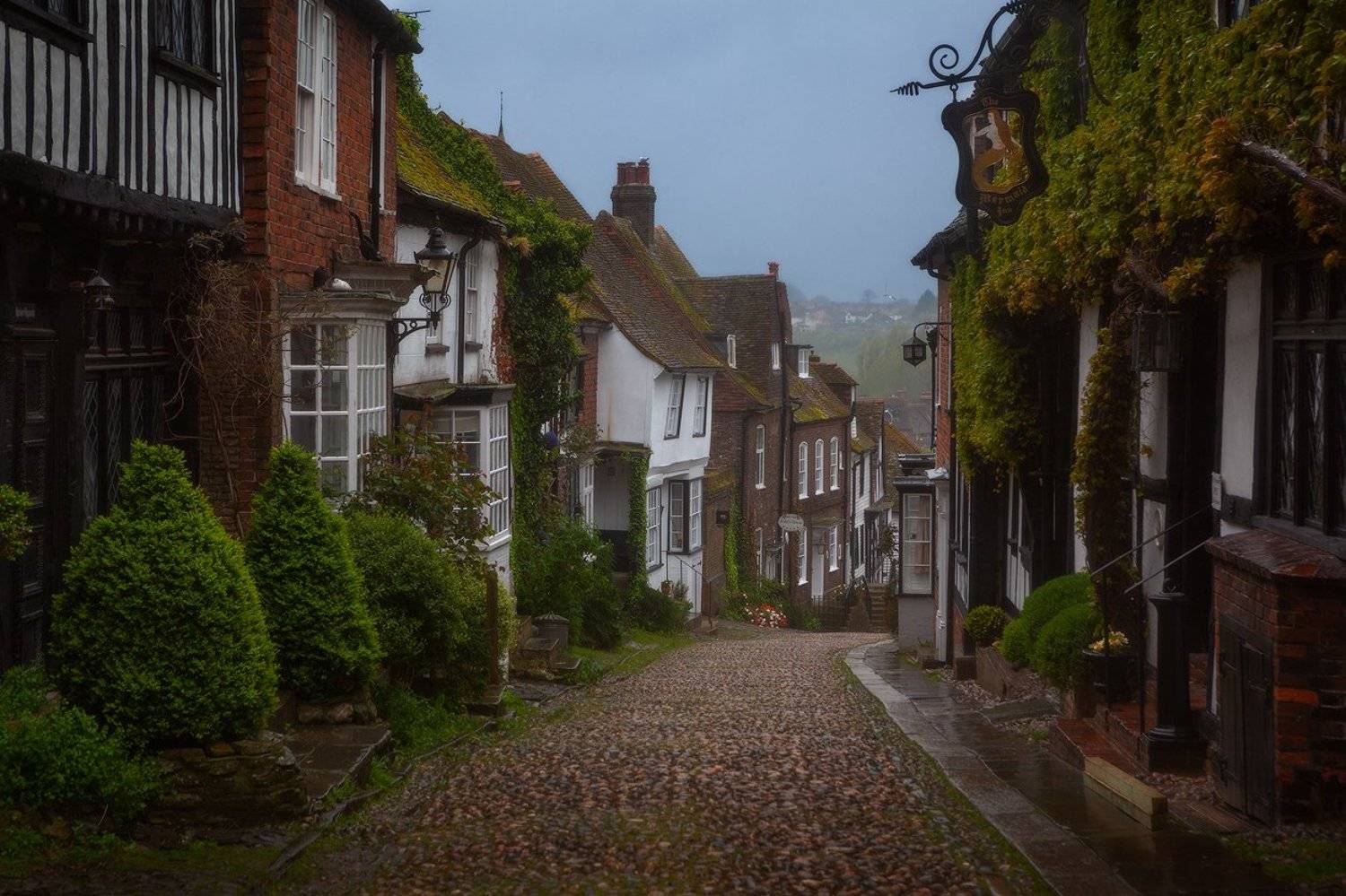 uk, england, англия, east sussex, Alex Yurko