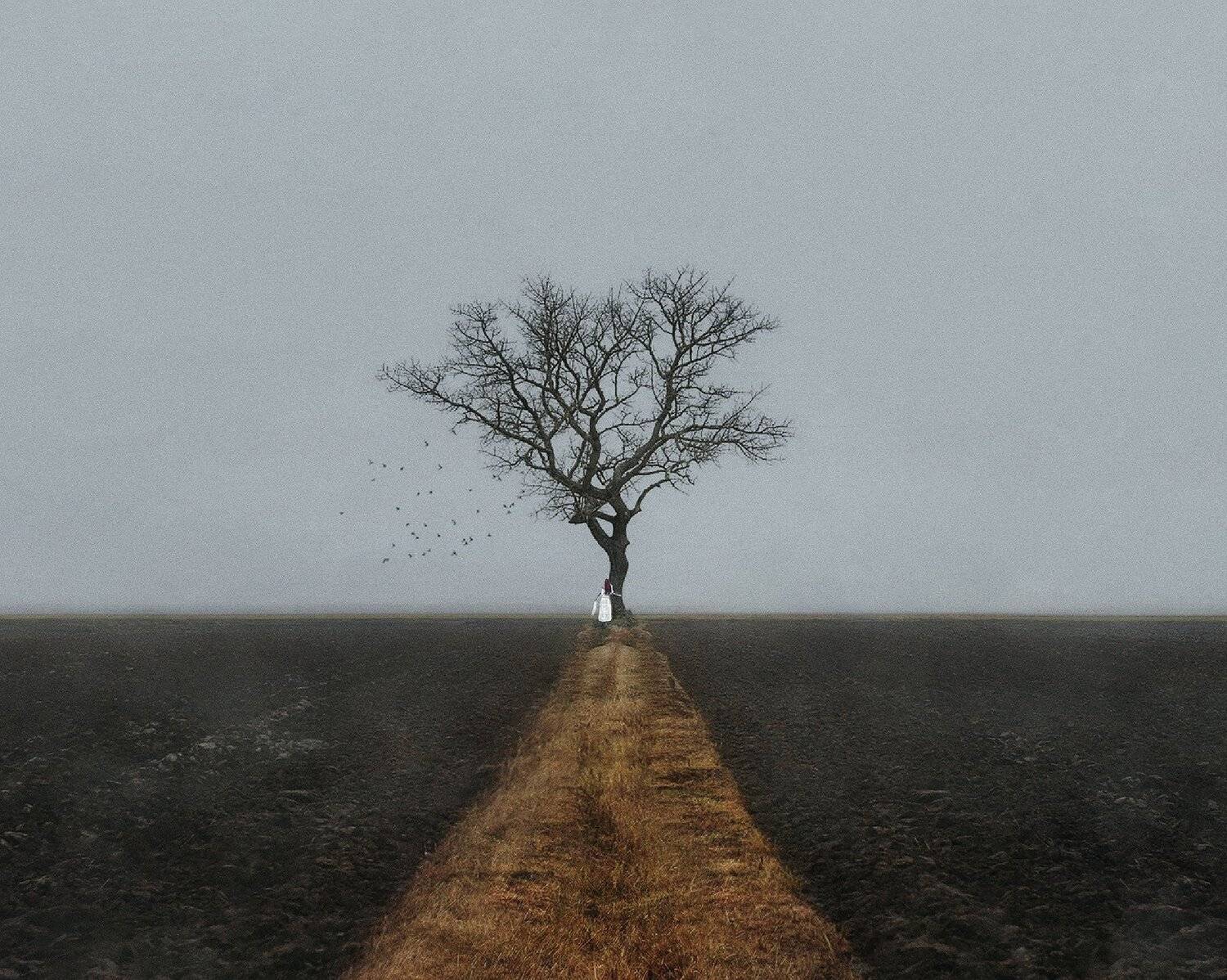 , Сергей Фетт