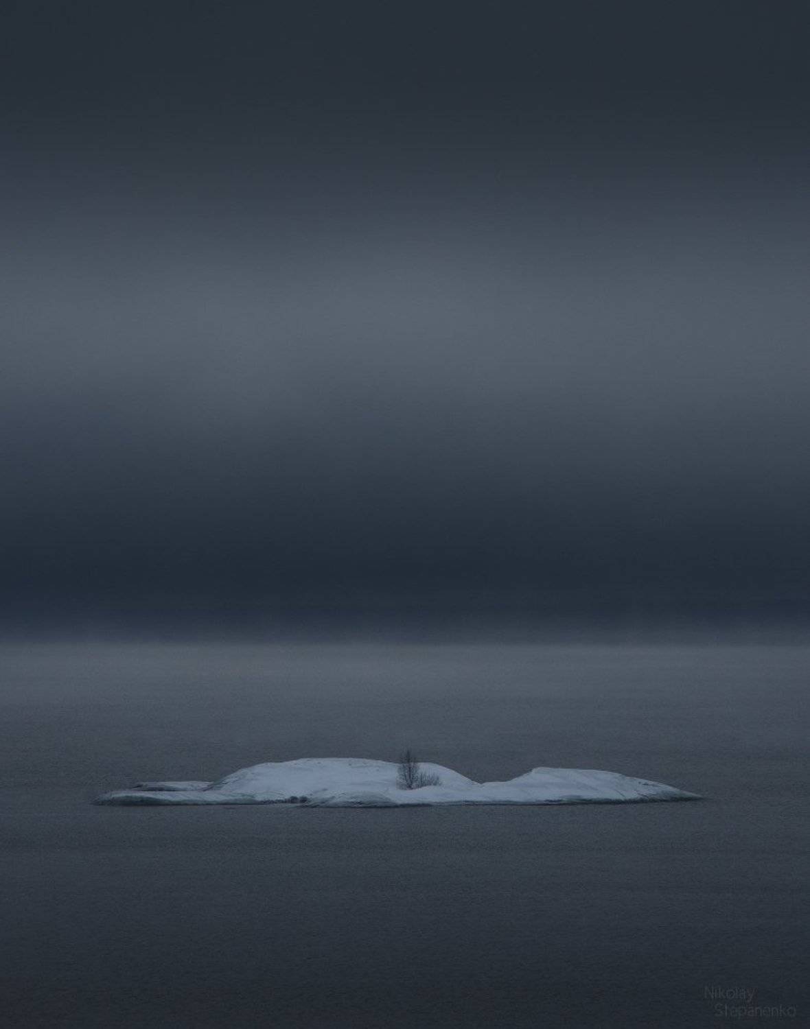 карелия, ладога, озеро, остров, койонсаари, дерево, единственный обитатель, Николай Степаненко