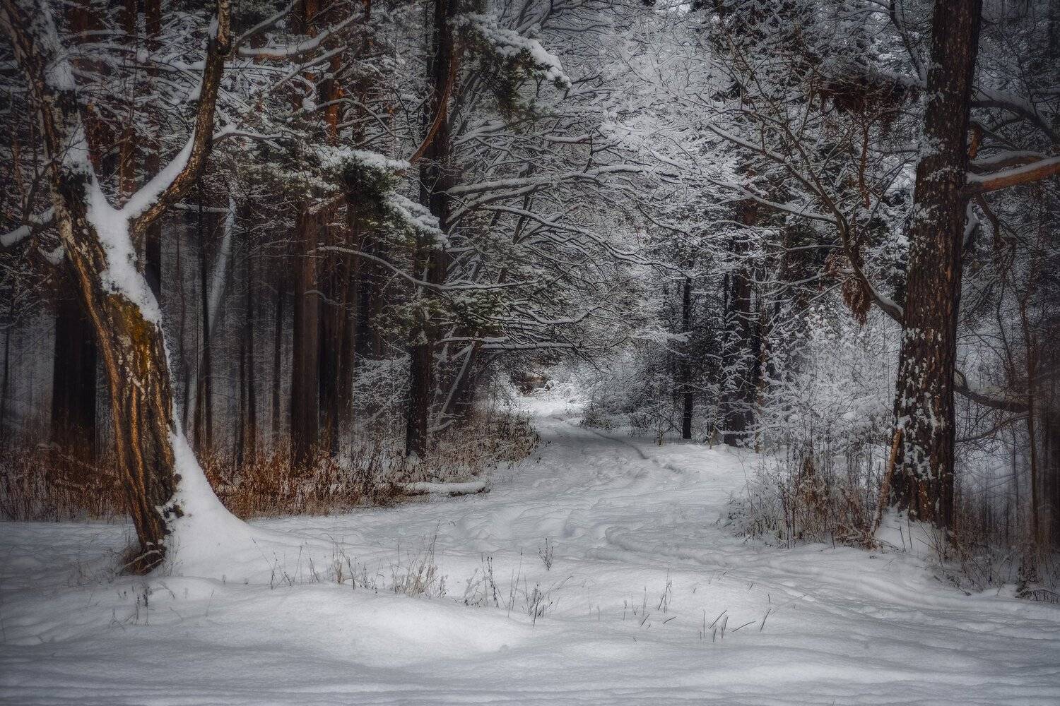 , Екатерина