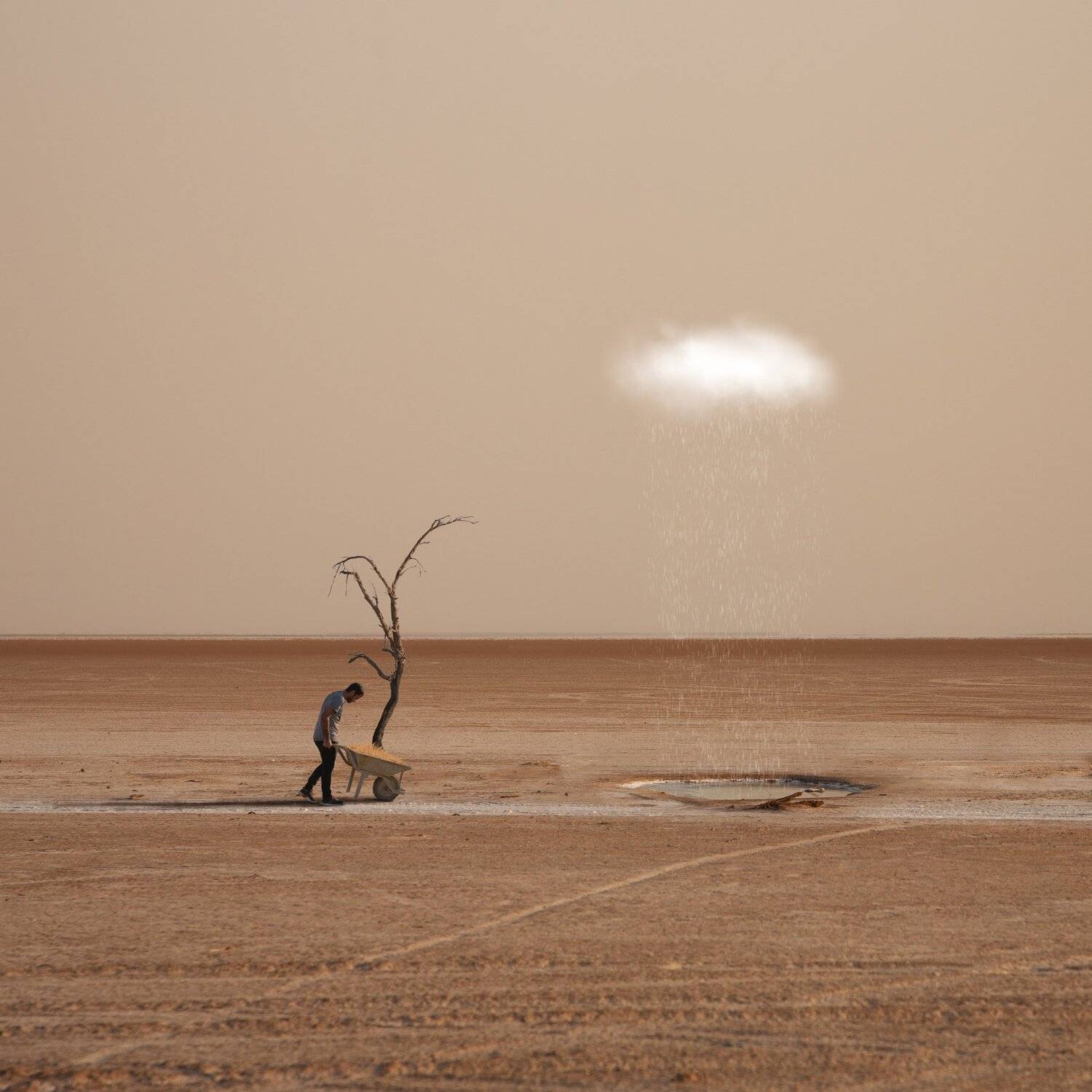 , Hossein Zare