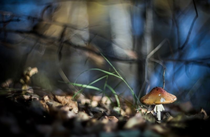 Один,совсем один... фото превью