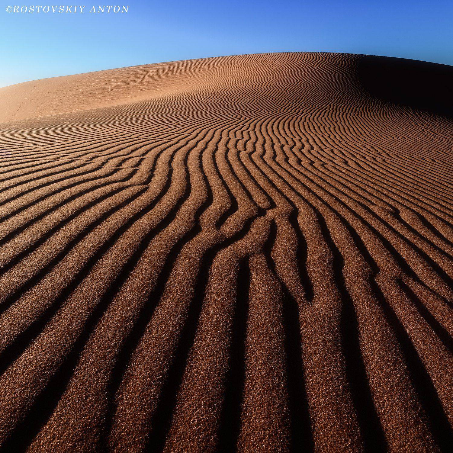 Марокко, фототур, пустыня, бески, дюна, бархан, , Антон Ростовский