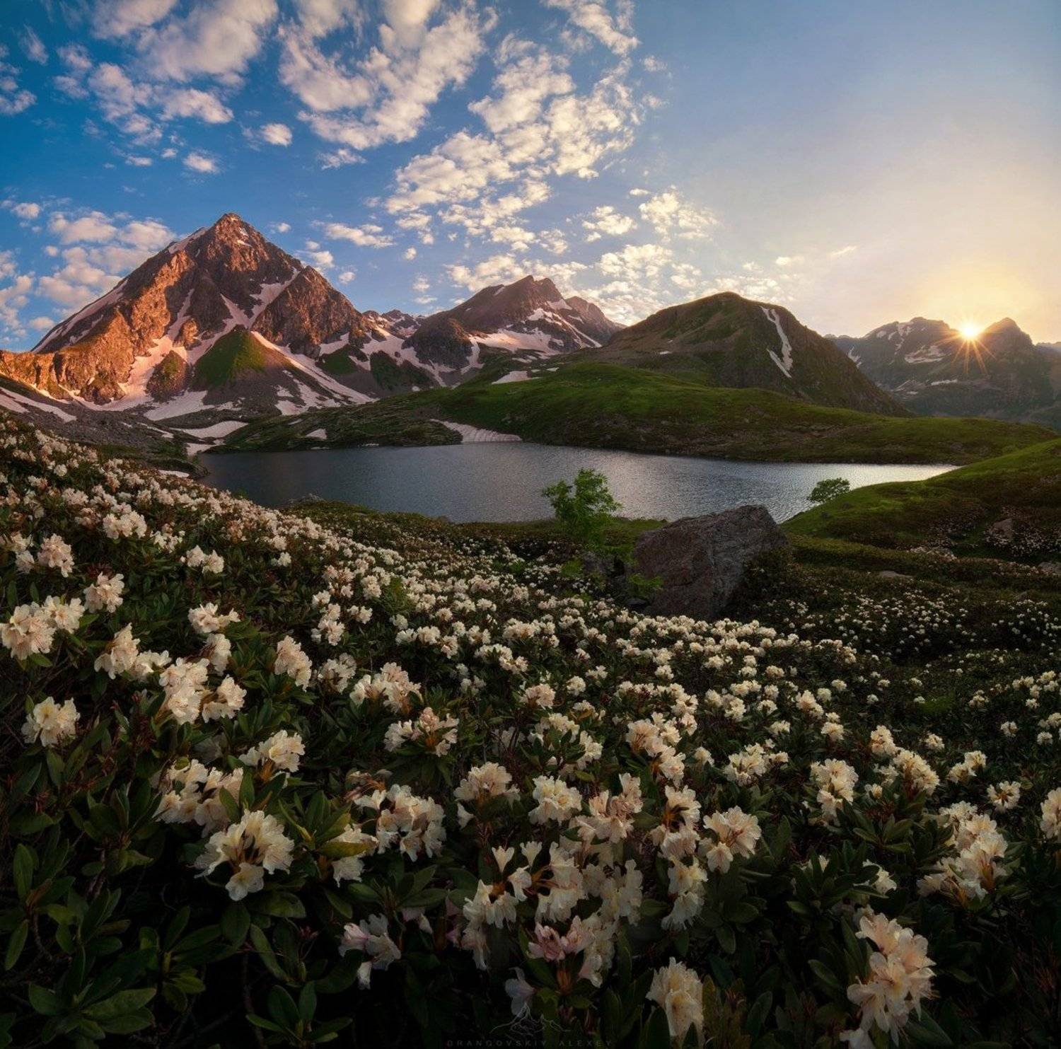 , Алексей Дранговский