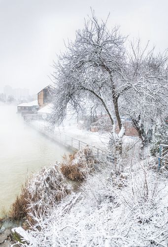 Снежные сказки Кубанской зимы.