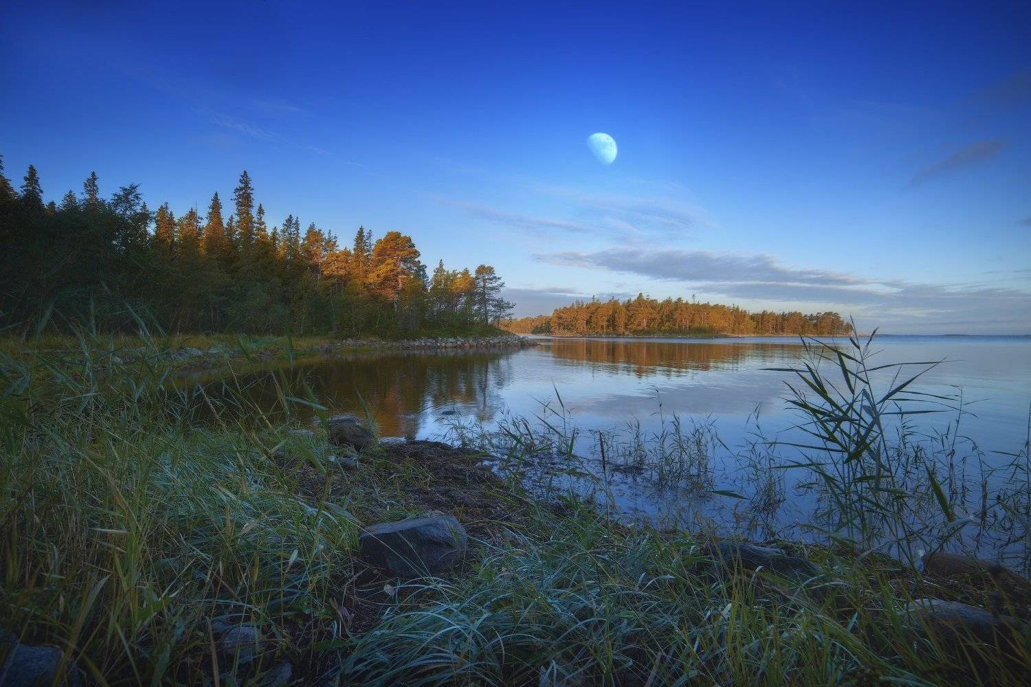 #dervod #drevo #Соловки, Демид Волков