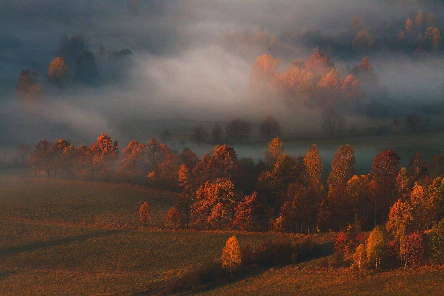 landscape,canon,mist,light,autumn, Iza i Darek Mitręga