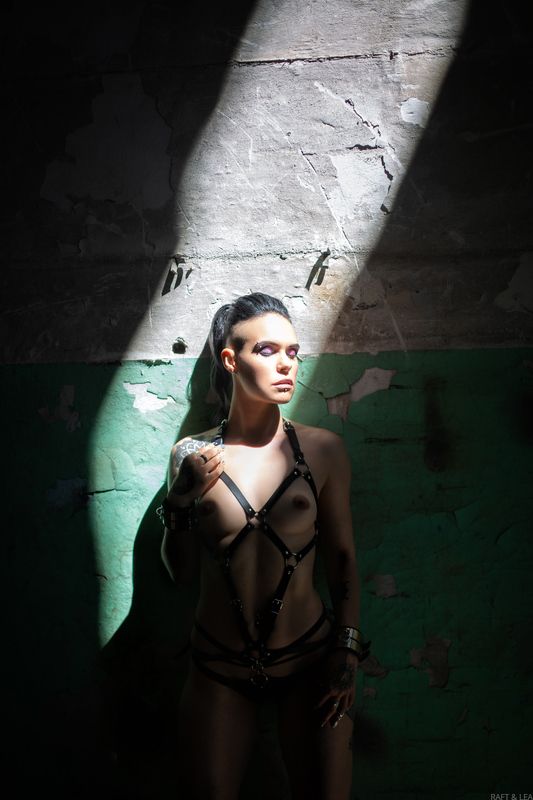 Light фото превью