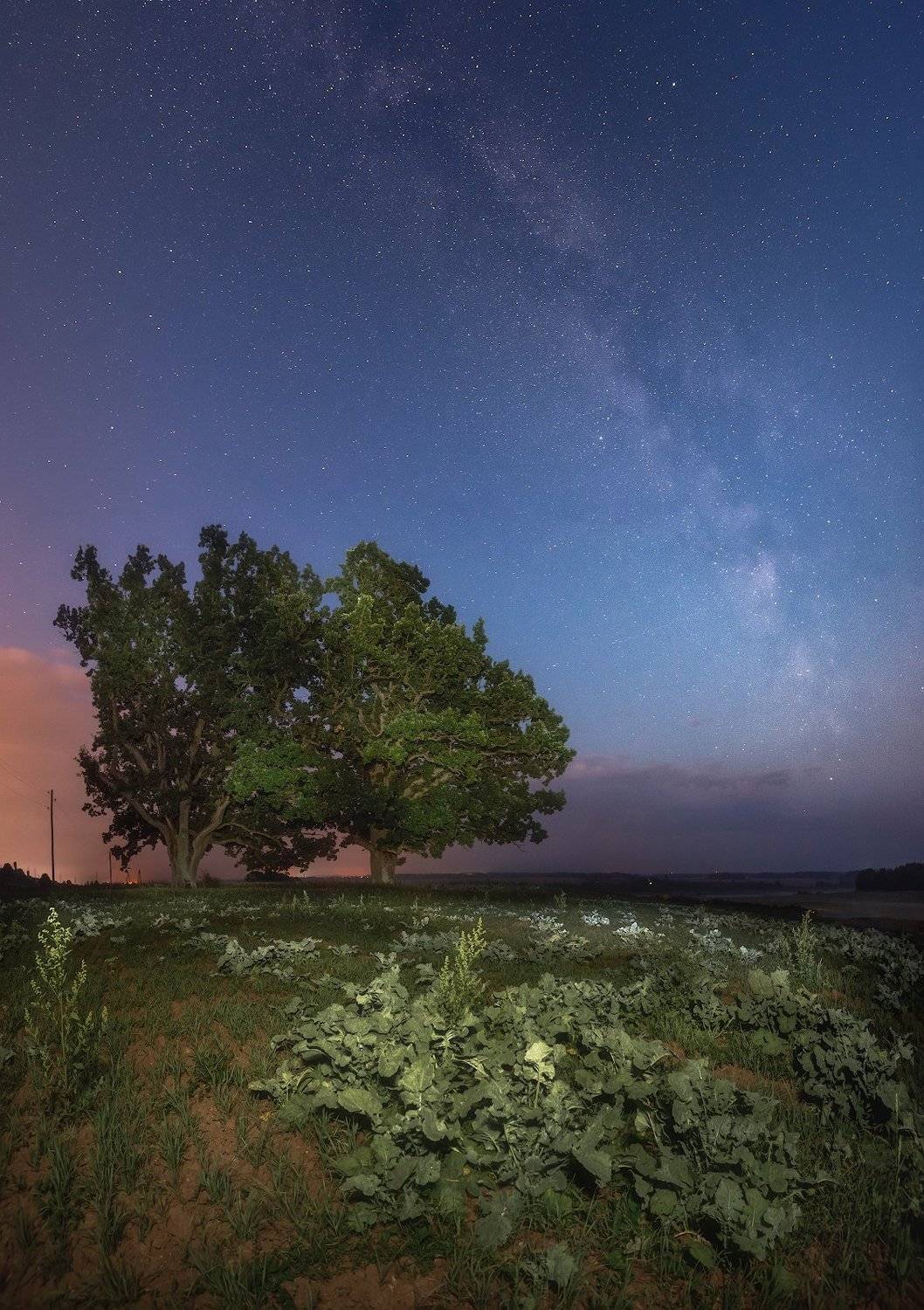 ночь млечный путь латвия пейзаж небо, Алексей Мельситов