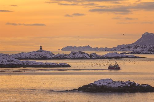 Fishermans' boat coming home. Lofotens.