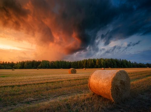 Окончание лета