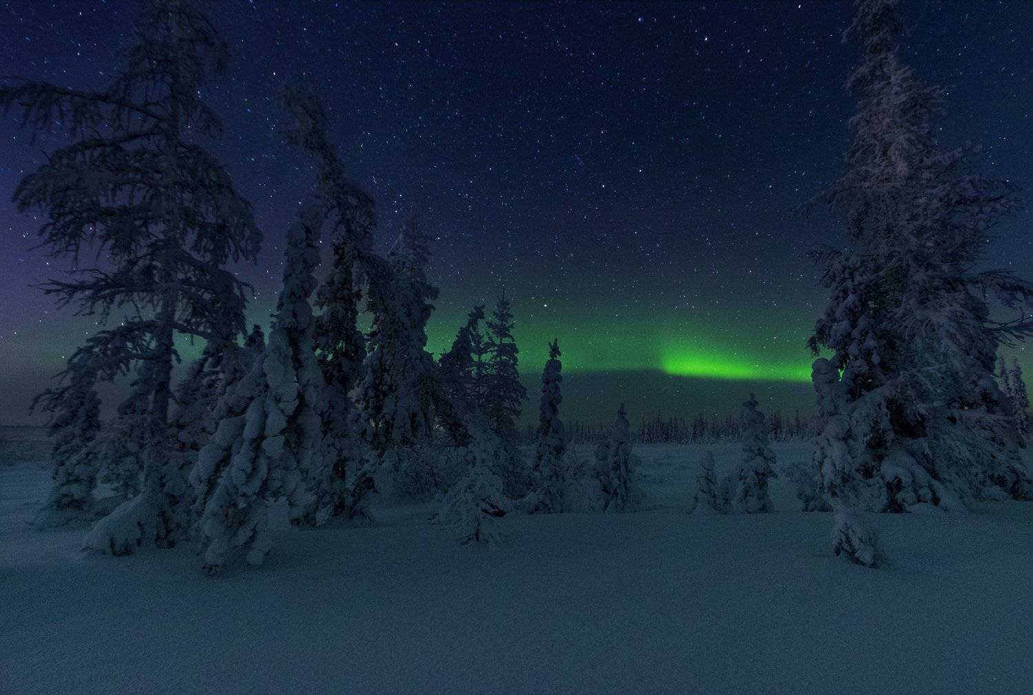 ямал, салехард , сияние ,ямал ,янао, пейзаж, природа ,полярный урал ,аврора, Настя Братка
