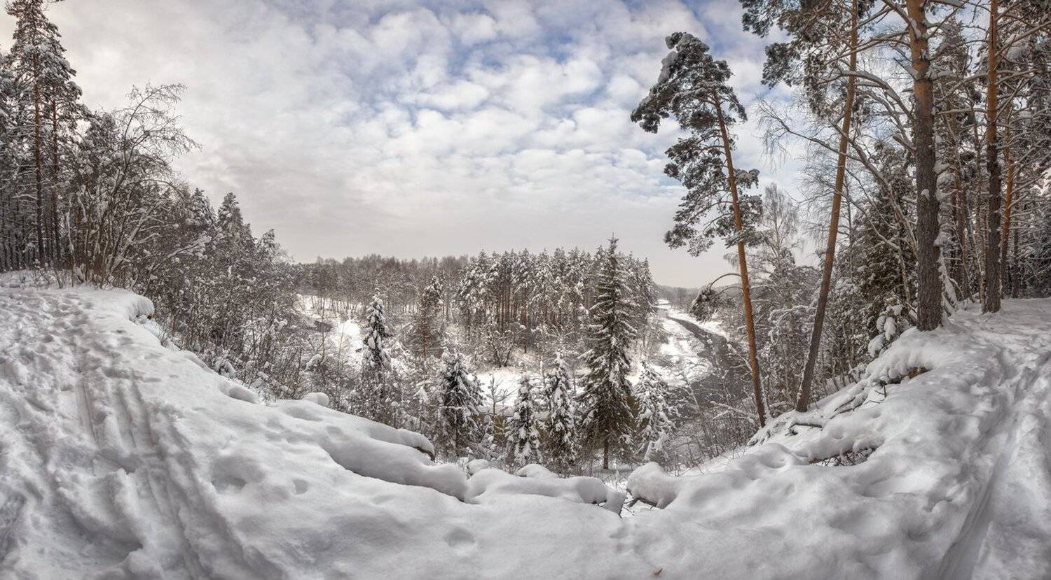 , Николай Андреев