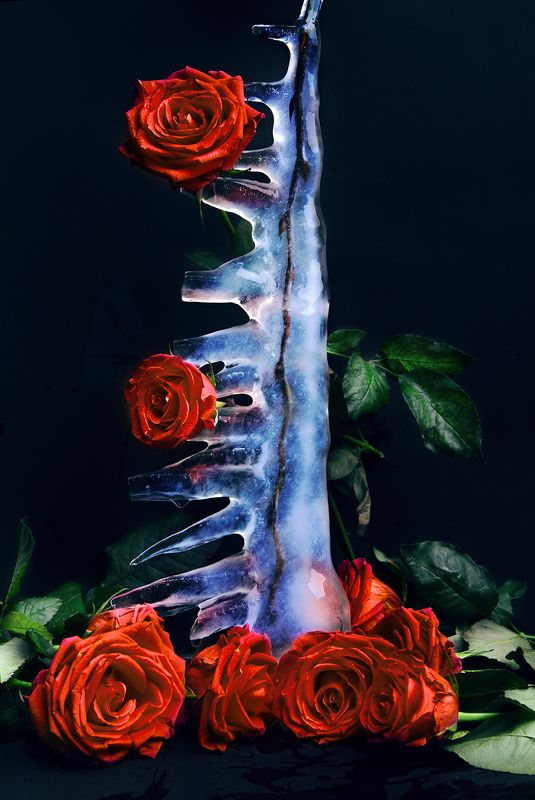 FROZEN фото превью