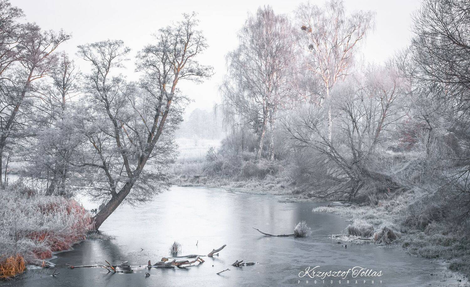 winter,nature,fog,frozen,landscape,sky,trees,light,morning,nikon,river,gwda,mist,, Krzysztof Tollas