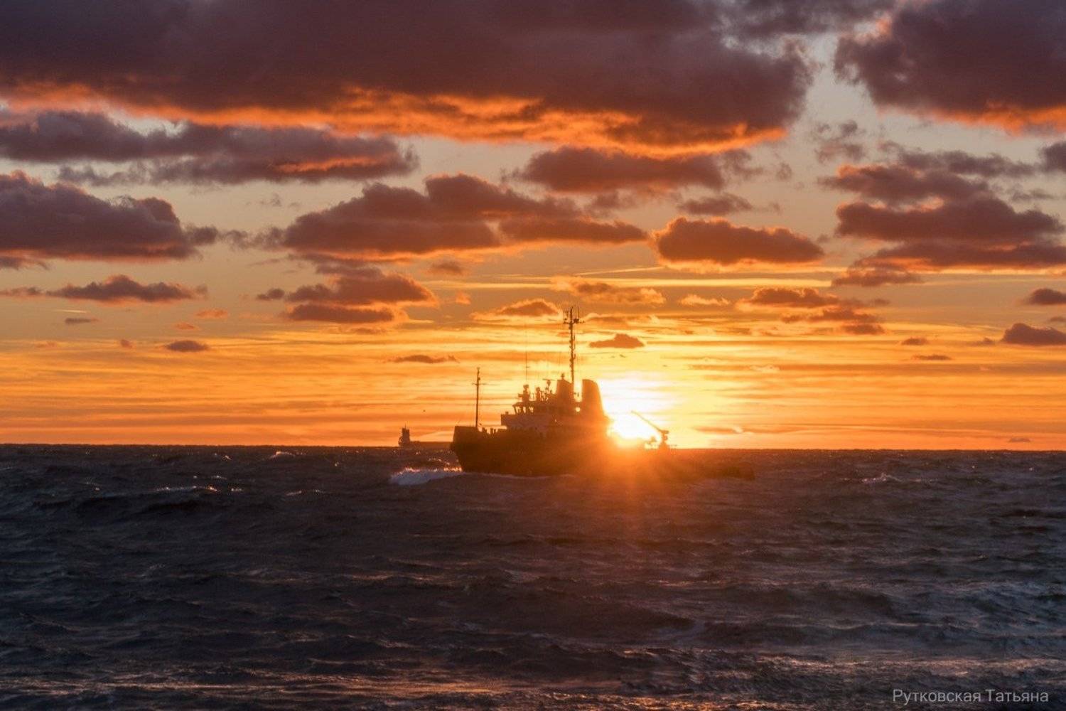 , Татьяна Рутковская