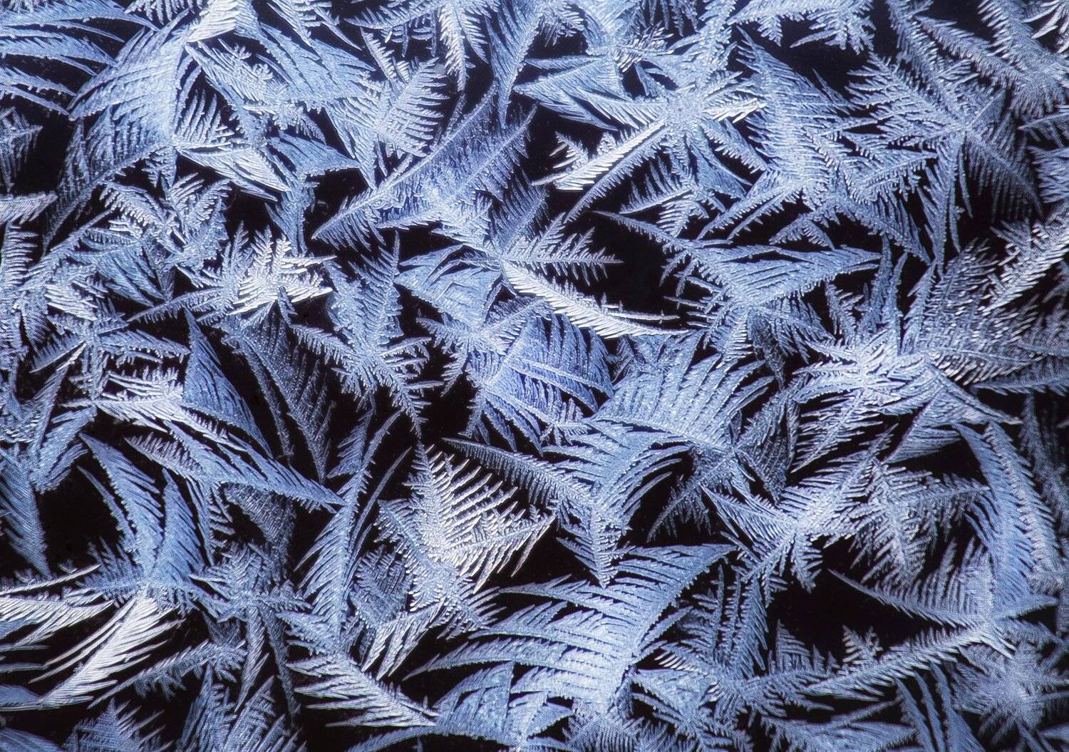 , Павел Сагайдак