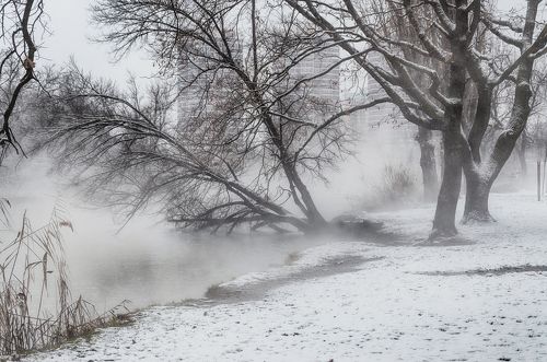 Снежные сказки Кубанской зимы.