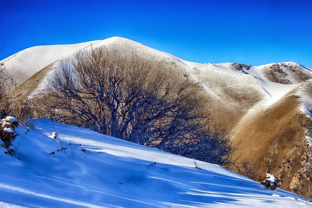 кыргызстан, горы, Элина Магалимова