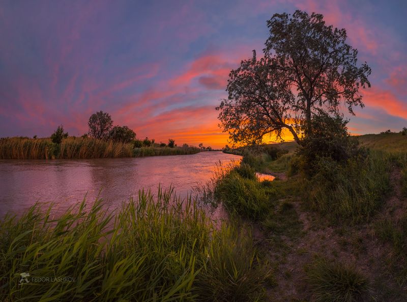 Весенние сумерки фото превью