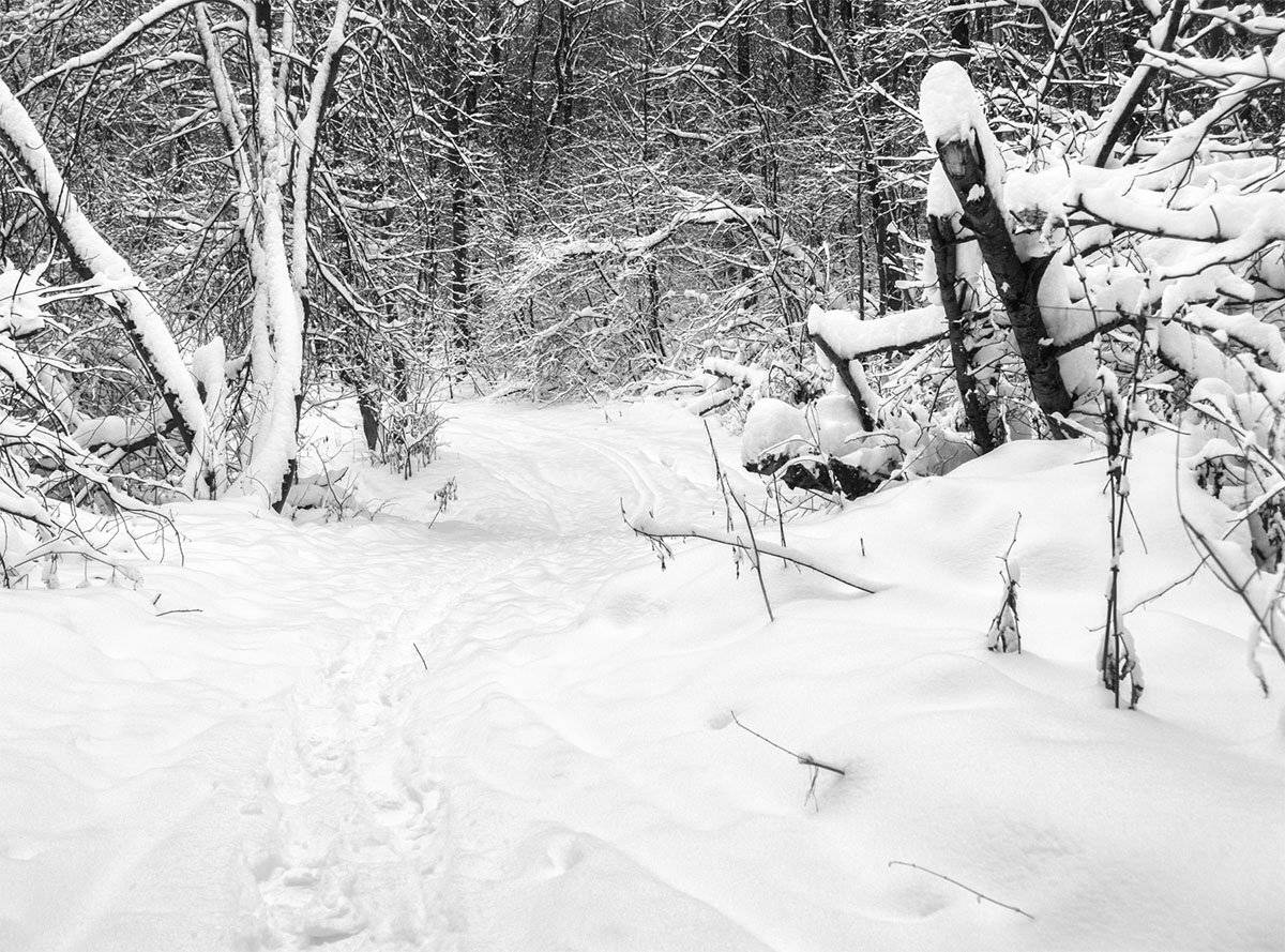 , Алексей Герасимов