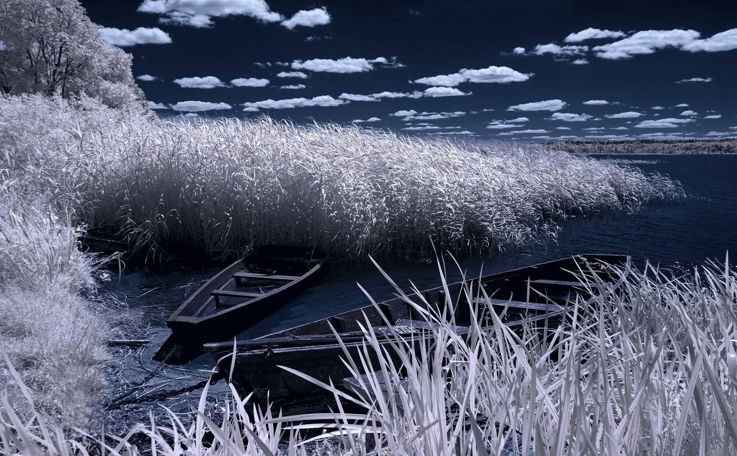 infrared,ик-фото,инфракрасное фото,инфракрасная фотография,пейзаж,природа,беларусь,лето, Sixten ( Сергей )