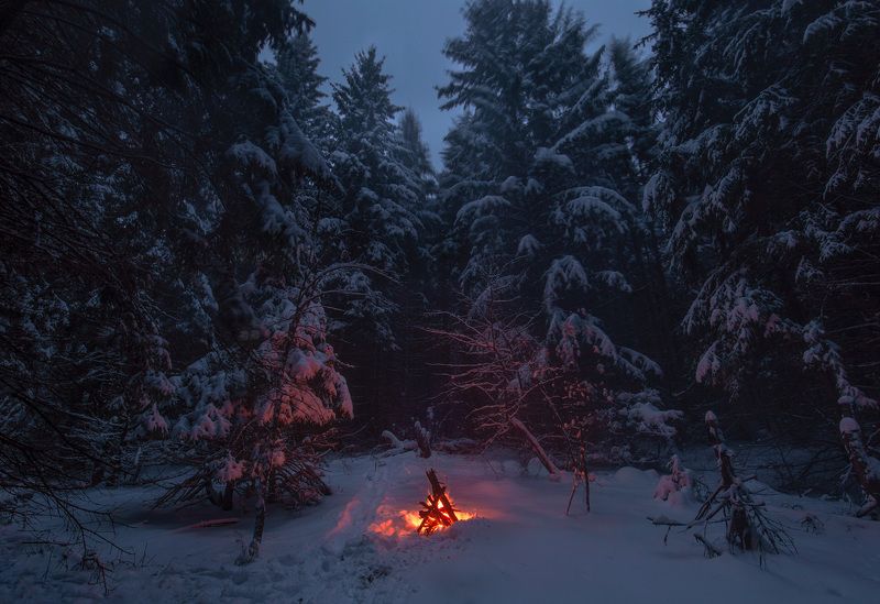 пейзаж, снег, зима, огонь, tamron Сумеречная тишь и одиночество в заснеженном лесу фото превью