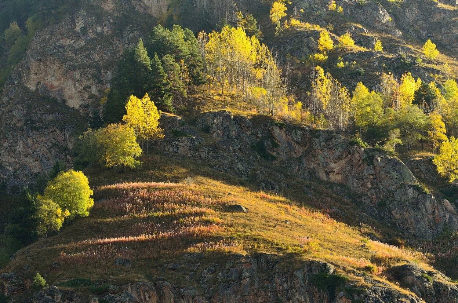 горы осень уллу-кам, Александр Жарников