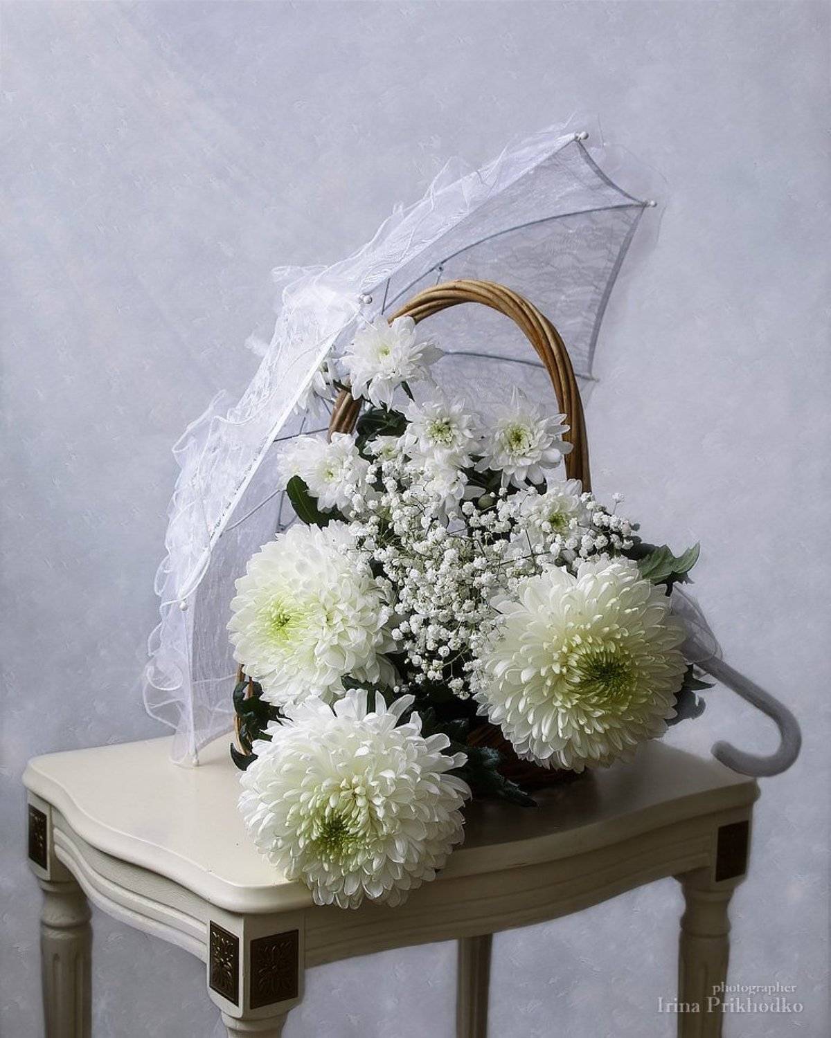 натюрморт, зима, белый фон, художественная фотография, цветочный натюрморт, хризантемы, Ирина Приходько