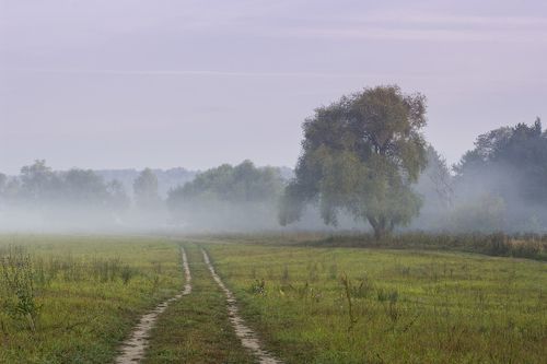 Туманное утро на р. Истра