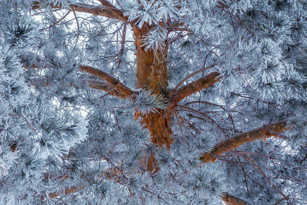 , Павел Сагайдак