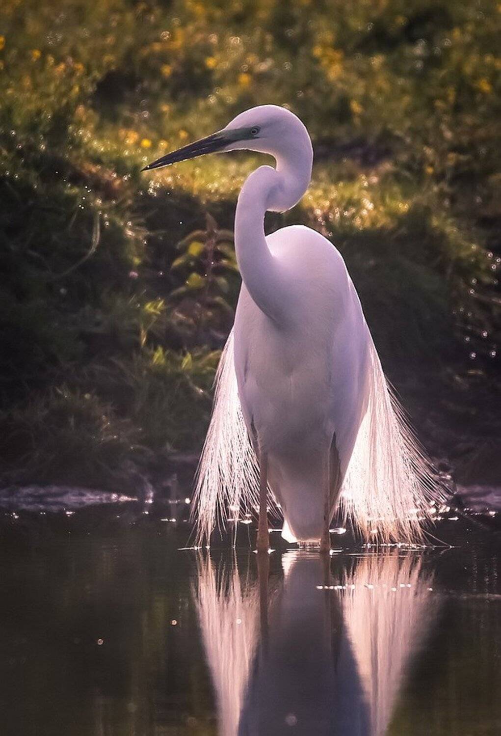 , Вячеслав Мищенко