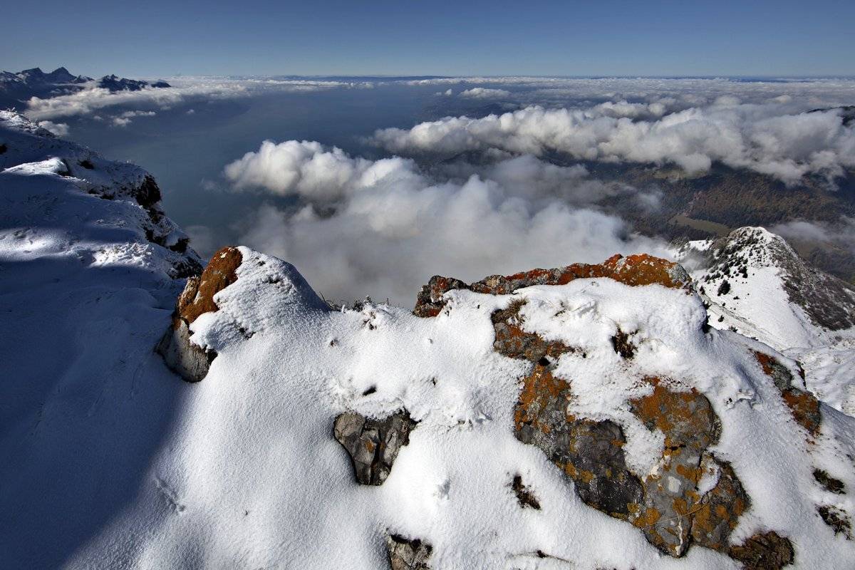 swiss, Матвеев Николай