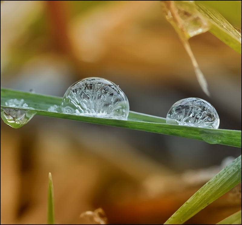 , Андрей Осокин