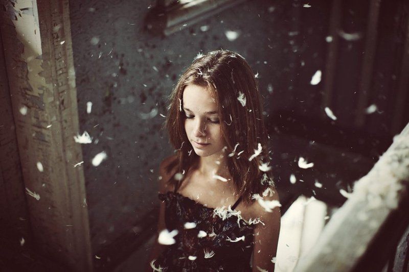 Перья фото превью