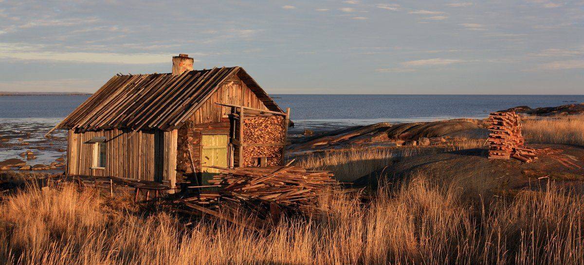 , Андрей Котов