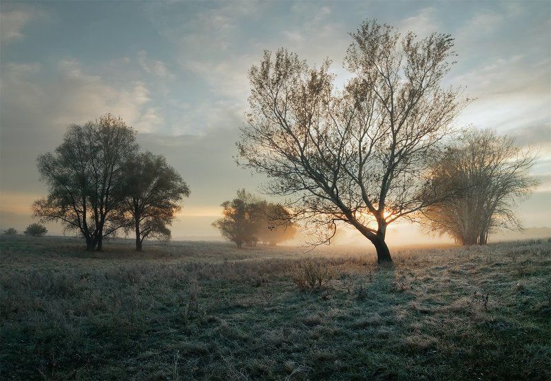 Холодный осенний рассвет фото превью