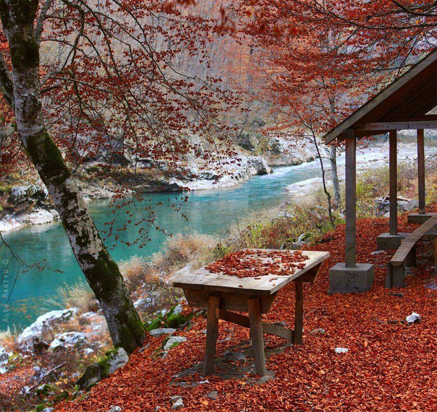 черногория, Alexander Martynov